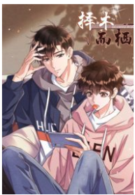 Choose Wood and Dwell