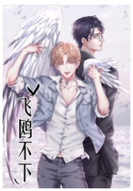 Flying Gulls Never Land