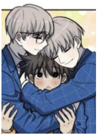 Pufferfish and Dolphins