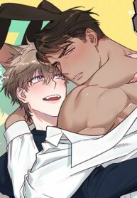 Rabbits Ejaculate In 3 Seconds _0Ms8+29JC: