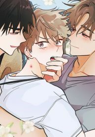 When Pear Blossoms Bloom