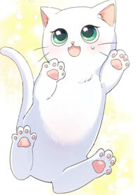 The Possesive Tyrant and His Sleepy Cat